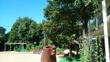 150714_084803