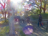 221215_093256