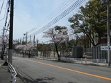250408_121115